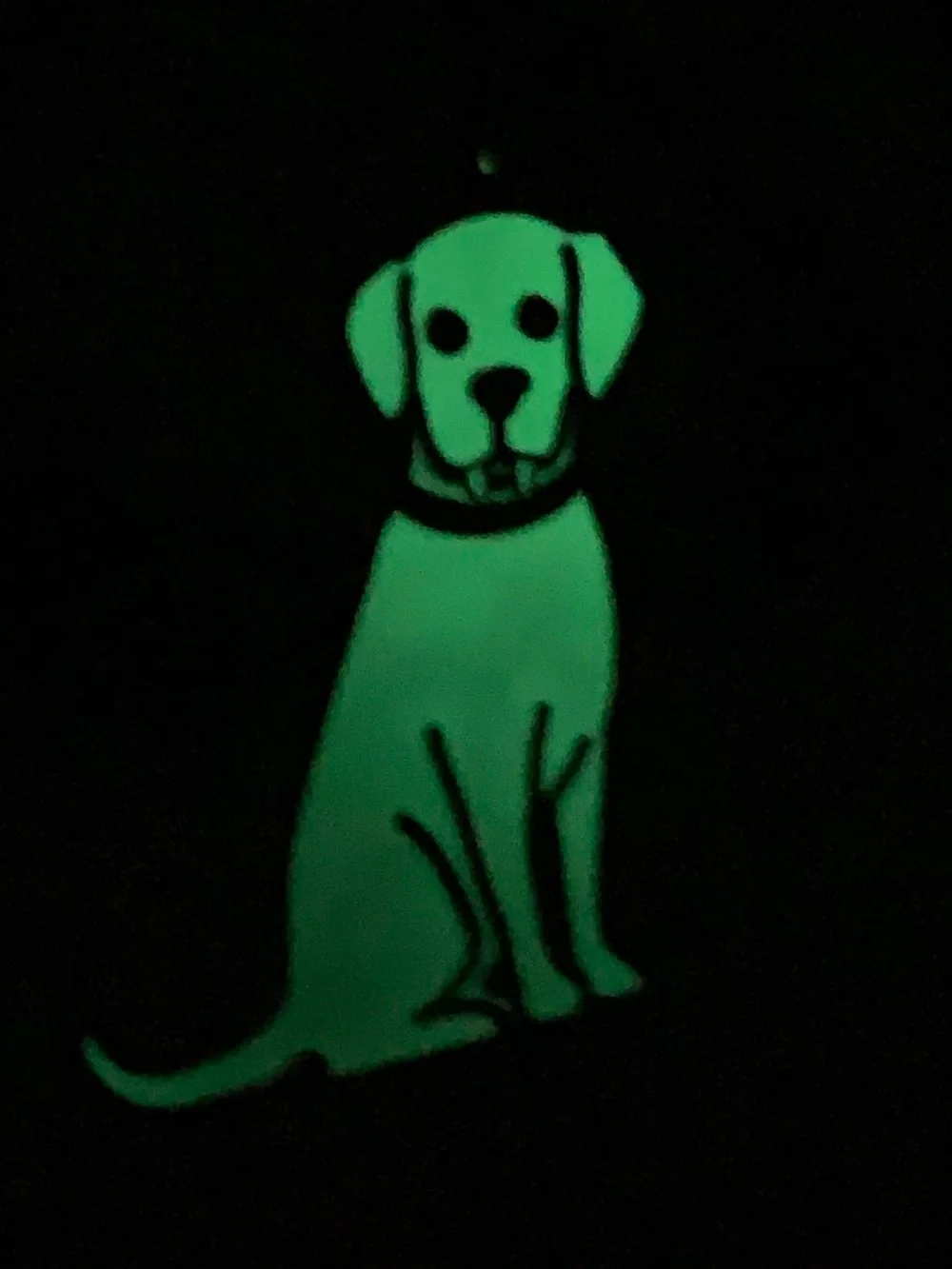Victorias Secret PINK Vampire Bat Puppy Dog Glow-in-the-Dark Keychain Charm NWT
